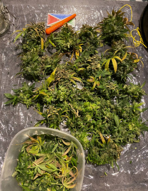 1685006294711.png 1685006294711.png