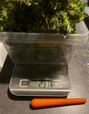 1685006324106.png 1685006324106.png