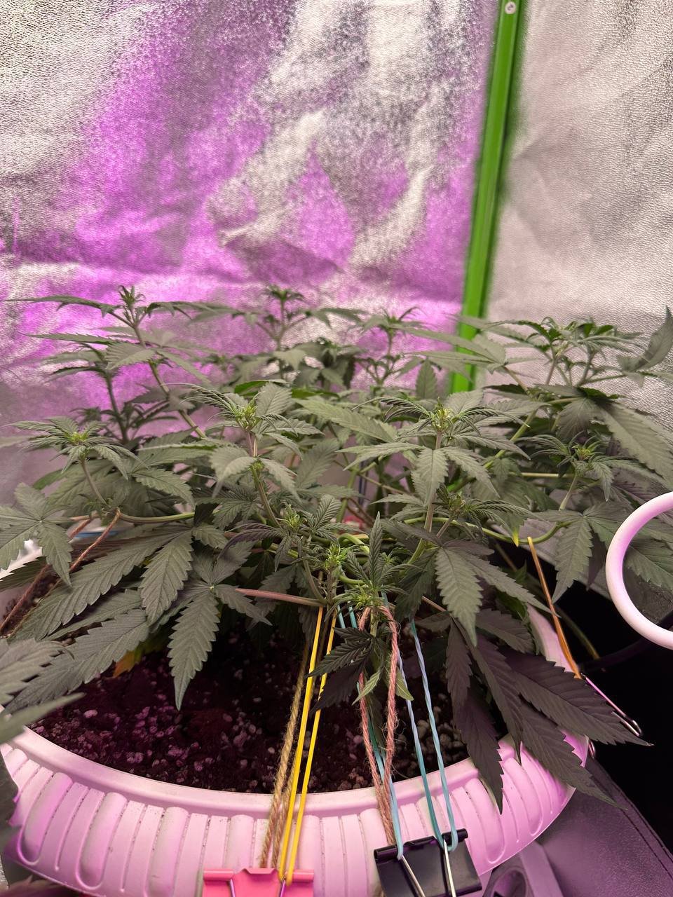 301F57B0-D46B-4D01-8F14-25E23013410E.jpeg 301F57B0-D46B-4D01-8F14-25E23013410E.jpeg