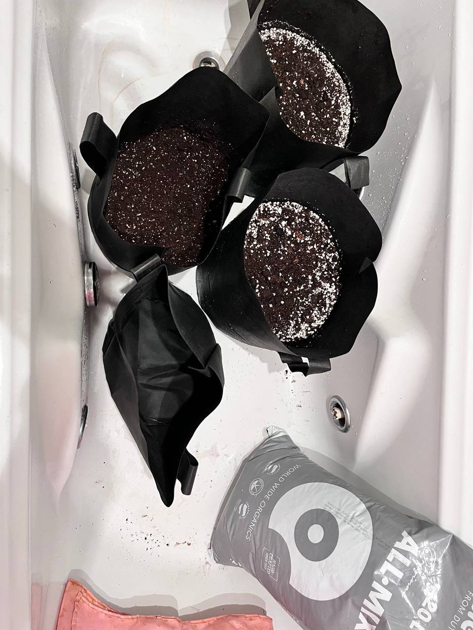 photo_2023-05-30_17-53-16.jpg photo_2023-05-30_17-53-16.jpg