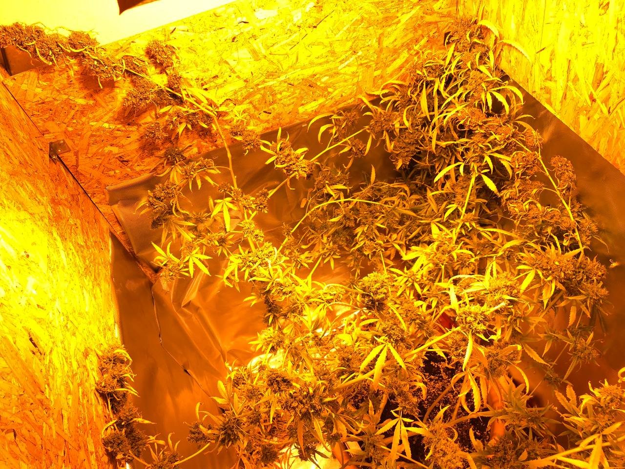 photo_2023-05-30_19-29-12.jpg photo_2023-05-30_19-29-12.jpg