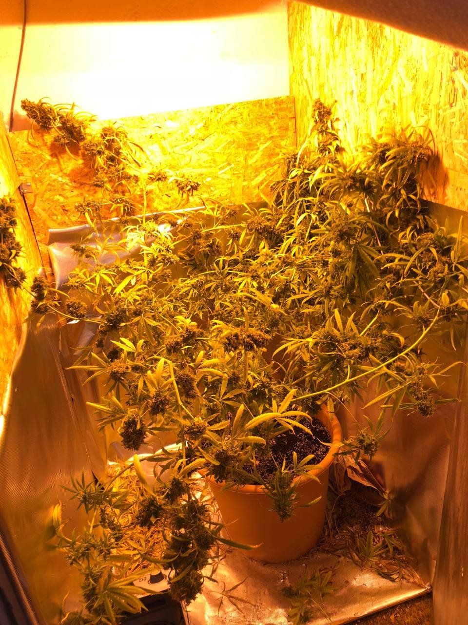 photo_2023-05-30_19-29-13.jpg photo_2023-05-30_19-29-13.jpg