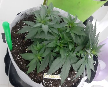 20230531_181632.jpg 20230531_181632.jpg