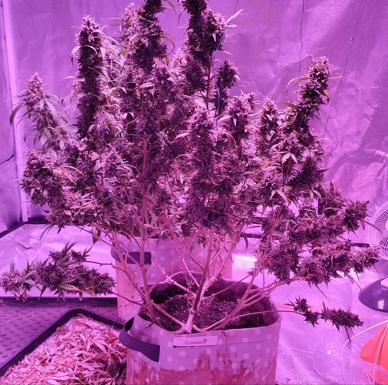 photo_2023-06-01_22-32-25 (2).jpg photo_2023-06-01_22-32-25 (2).jpg