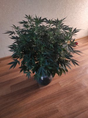 2023-06-04-14-00-22-020.jpg 2023-06-04-14-00-22-020.jpg