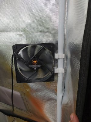 IMG_20230612_121201.jpg IMG_20230612_121201.jpg