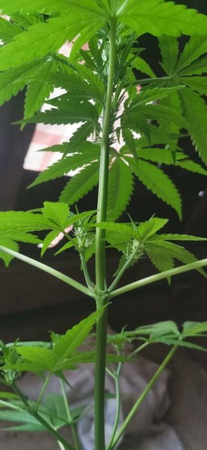 photo_5206705123009611343_y.jpg photo_5206705123009611343_y.jpg