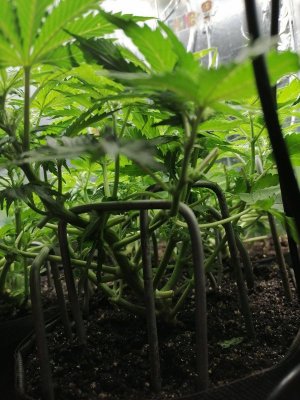 1686678877782.jpg 1686678877782.jpg