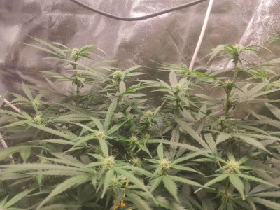 2023-06-14-16-00-40-894.jpg 2023-06-14-16-00-40-894.jpg