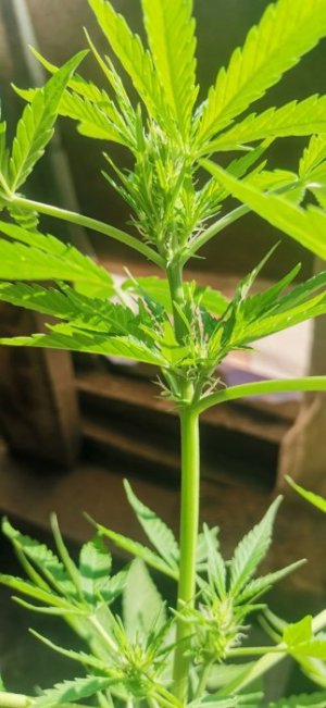 photo_5220004794184355049_y.jpg photo_5220004794184355049_y.jpg