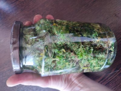 IMG_20230618_130535.jpg IMG_20230618_130535.jpg