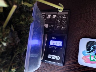 IMG_20230618_123240.jpg IMG_20230618_123240.jpg