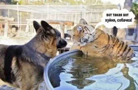 1685490518122687358.jpg 1685490518122687358.jpg