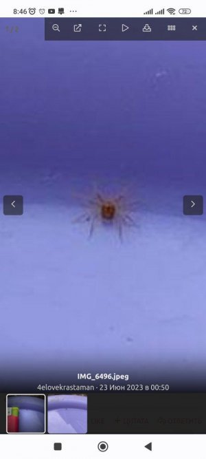 Screenshot_2023-06-23-08-46-40-938_com.android.chrome.jpg Screenshot_2023-06-23-08-46-40-938_com.android.chrome.jpg