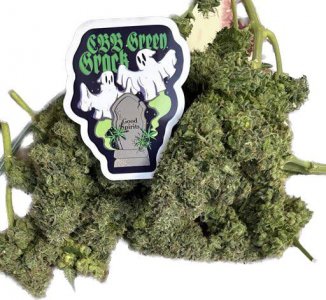 69384AC5-30C2-4D78-9BBE-CFB752AFC376.jpeg 69384AC5-30C2-4D78-9BBE-CFB752AFC376.jpeg