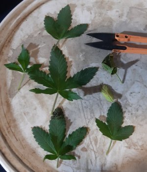 20230628_193616.jpg 20230628_193616.jpg