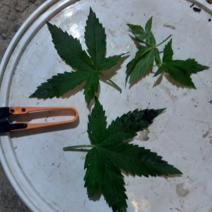 20230628_193503.jpg 20230628_193503.jpg