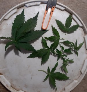 20230628_193438.jpg 20230628_193438.jpg