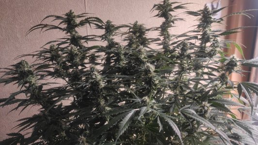 2023-06-29-15-46-31-637.jpg 2023-06-29-15-46-31-637.jpg