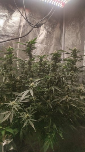 2023-06-26-19-34-17-741.jpg 2023-06-26-19-34-17-741.jpg