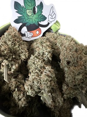 EE4D4644-8FAD-4864-906C-7E1C2D127042.jpeg EE4D4644-8FAD-4864-906C-7E1C2D127042.jpeg