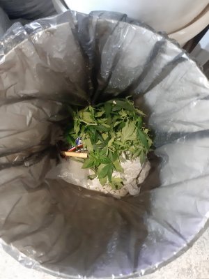 20230629_195404.jpg 20230629_195404.jpg