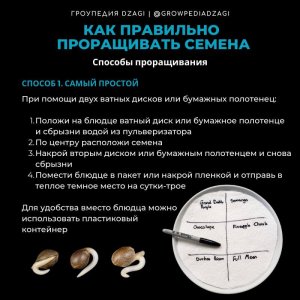 IMG_20230629_165912_228.jpg IMG_20230629_165912_228.jpg