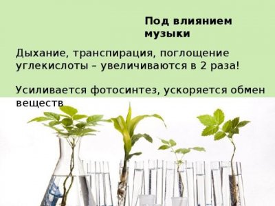 IMG_20230629_165753_351.jpg IMG_20230629_165753_351.jpg