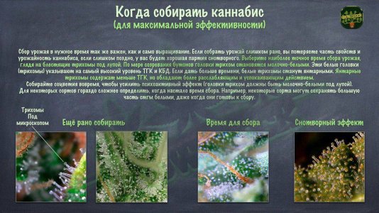 IMG_20230629_165649_524.jpg IMG_20230629_165649_524.jpg