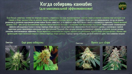 IMG_20230629_165645_022.jpg IMG_20230629_165645_022.jpg