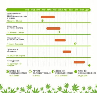 IMG_20230629_165551_047.jpg IMG_20230629_165551_047.jpg