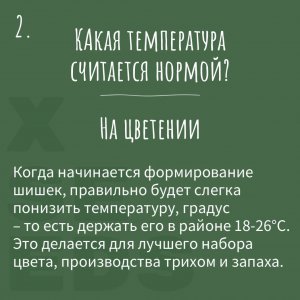 IMG_20230629_165529_874.jpg IMG_20230629_165529_874.jpg