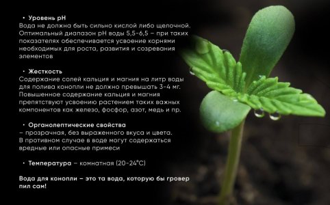 IMG_20230629_165521_855.jpg IMG_20230629_165521_855.jpg