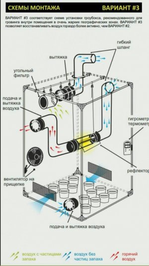 IMG_20230629_171705_495.jpg IMG_20230629_171705_495.jpg