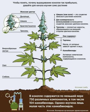 IMG_20230629_171506_135.jpg IMG_20230629_171506_135.jpg