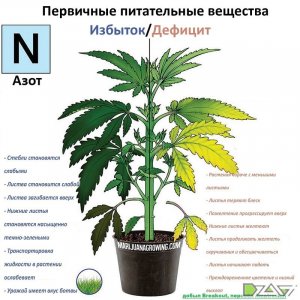 IMG_20230629_171440_701.jpg IMG_20230629_171440_701.jpg