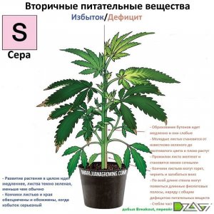 IMG_20230629_171426_895.jpg IMG_20230629_171426_895.jpg