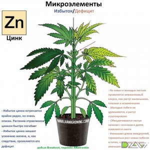 IMG_20230629_171422_402.jpg IMG_20230629_171422_402.jpg