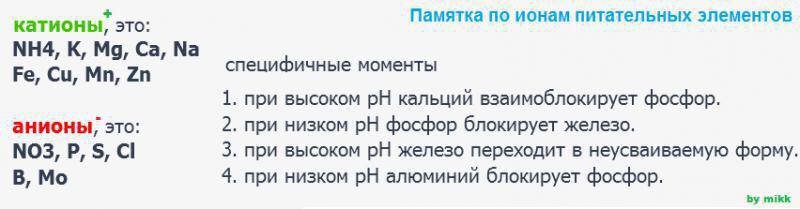 IMG_20230629_174042_177.jpg IMG_20230629_174042_177.jpg