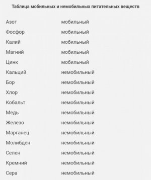 IMG_20230629_173958_639.jpg IMG_20230629_173958_639.jpg