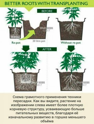 IMG_20230629_173950_459.jpg IMG_20230629_173950_459.jpg