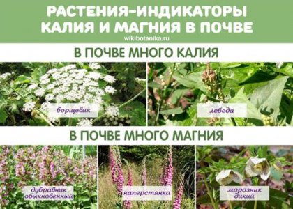 IMG_20230629_173905_412.jpg IMG_20230629_173905_412.jpg