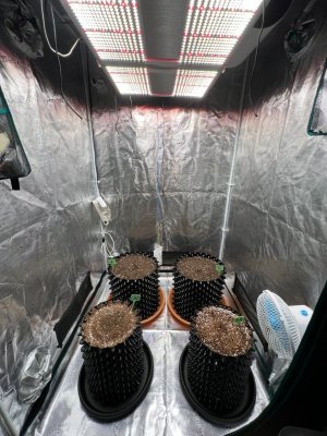 BE596D1E-5FA4-4E3E-AAA5-6AC6371DC87C.jpeg BE596D1E-5FA4-4E3E-AAA5-6AC6371DC87C.jpeg