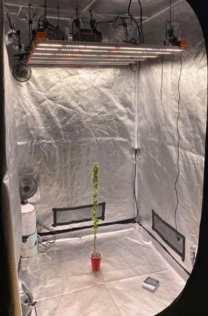 d3229e41-7b12-47a8-9bb1-63915ce1f655.jpeg d3229e41-7b12-47a8-9bb1-63915ce1f655.jpeg