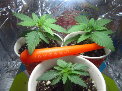 изображение_2023-06-30_124152740.png изображение_2023-06-30_124152740.png