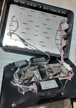 20230630_190051.jpg 20230630_190051.jpg