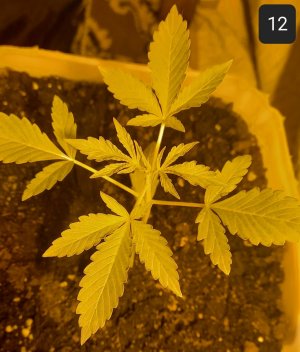 20230624_092317.jpg 20230624_092317.jpg