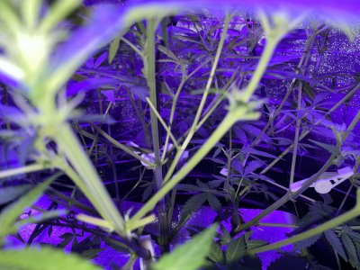 4E37B5B9-57E8-4CBB-AD0B-7871E163F199.jpeg 4E37B5B9-57E8-4CBB-AD0B-7871E163F199.jpeg