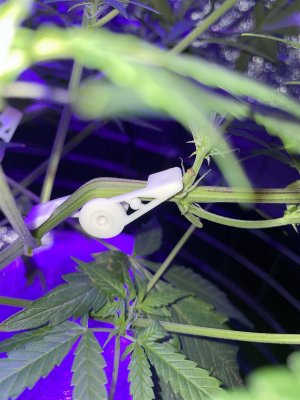 9436CBDD-DA81-4E96-B810-C4EB2FC881D9.jpeg 9436CBDD-DA81-4E96-B810-C4EB2FC881D9.jpeg