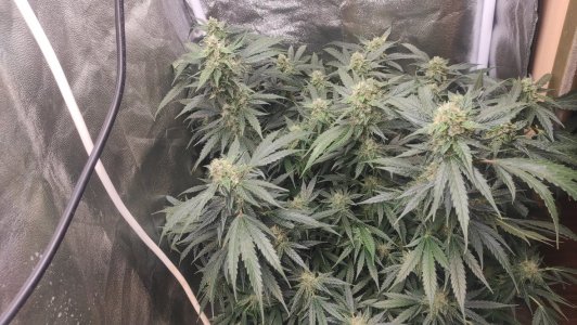 2023-07-04-19-01-40-339.jpg 2023-07-04-19-01-40-339.jpg